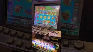 Mom MISTAKENLY Bets Way Too Much! Gets scolded&hellip; until THIS Happens&hellip; #sdguy1234