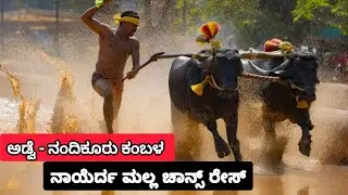 ಅಡ್ವೆ-ನಂದಿಕೂರು ಕಂಬಳ// ನಾಯೆರ್ದ ಮಲ್ಲ ಎರ್ಲೆನ ಚಾನ್ಸ್ ರೇಸ್ //Adve-Nandikoor Kambala live today 2026 ||