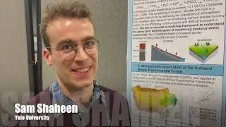 Hubbard Brook: Long Term Research, Big Time Legacy