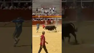 🎥 Toros en Medina del Campo (Valladolid) 📸 @gema_rico