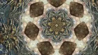 Synaptic Interface