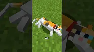Enchanted Cats #minecraft