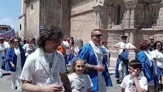 Desfile chiqui Cuadrillas Los Brindis, Los Estrafalarios y La Txanza #SJM25