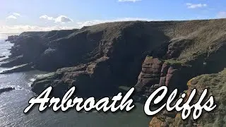 Scotland Day Walk 1 - Arbroath Cliffs