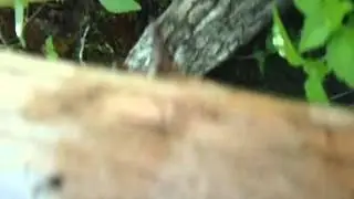 Camera lost in river