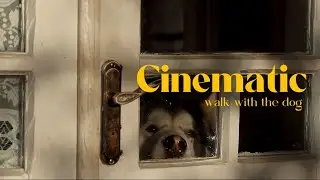 Walking The Dog Is Like A Movie - IN IPHONE 14PRO