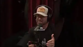 Joe Rogan on Wolves 🐺 how they communicate🗣 #joerogan #wolves #communication