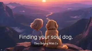 The Secret Bond Between You and Your Dog