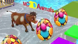 3D Animal Race Simulation on Color Track