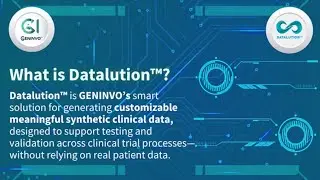 Datalution&trade; - A Meaningful Synthetic Data Generation Solution