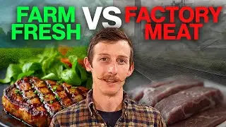Supermarket vs. Local Meat: The Shocking Truth Behind Your Steak