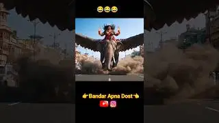 #monkey #comedy #shortvideo #funny #video #😂😂
