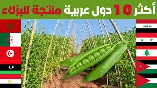 من هي اكبر دولة عربية في زراعة و انتاج البزلاء؟ تصنيف جديد لأكبر 10 محاصيل بزلاء عند العرب 2024