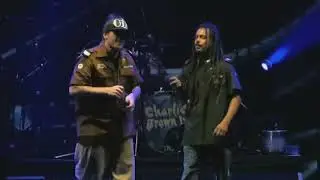 Charlie Brown Jr, Marcelo Falc&atilde;o - N&atilde;o &eacute; S&eacute;rio (Ao Vivo)