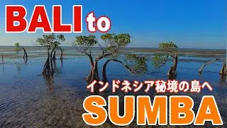 #4 インドネシアの秘境スンバ島！たった一人の日本人島民とは?