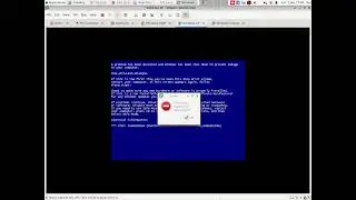Windows XP BSOD by automated heavily corrupting VMEM (VMware + RTCV + AutoKey). (100 BSODs)
