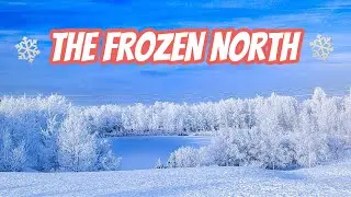 The Frozen North | Freezing Fog Creates Rime Ice in Calgary