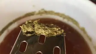 #6 Comment faire sa bière  - épisode 4  - La fermentation