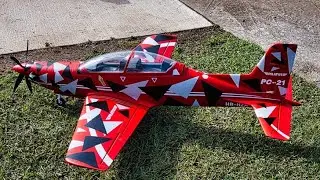 FMS Pilatus PC21 1.1m and Freewing F-22A Raptor (01) 80mm Friday Morning Flights in High Winds