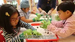 😎 Yang Fan Preschool: Experience - based Learning for Happy Kids! 🌟