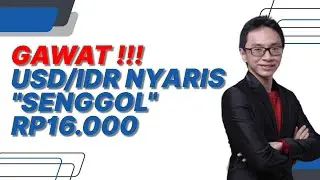 Waspadalah !!! Waspadalah !!! USD/IDR Hampir 