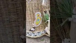 The flower basket float of Taytay, palawan