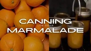 Lower Sugar Orange Marmalade Using Pomona's Pectin