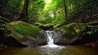 GENTLE RIVER FLOW ASMR | RELAXING WATER SOUNDS FOR DEEP SLEEP, FOCUS, AND CALMNESS