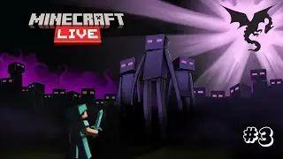 Minecraft Survival | Journey to The End & Ender Dragon Fight
