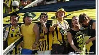 canticos aurinegros