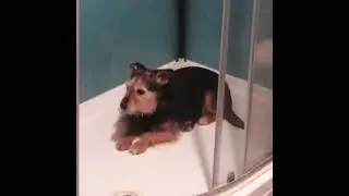 shower jail