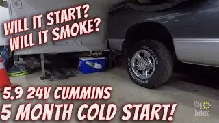 Cummins Cold Start after 5 Months!