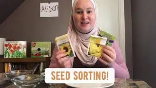 SEED SORTING!