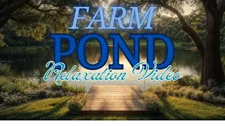 Idyllic Rural Escape: Fishing by a Quiet Farm Pond - Ambient Nature Sounds