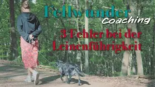 3 Fehler bei der Leinenf&uuml;hrigkeit // Fellwunder Coaching 🐕