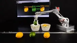 7Bot Desktop Robot Arm working with assembly line