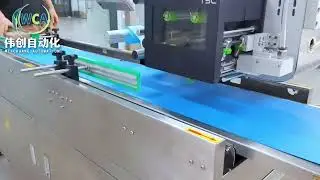 Weigh Print Apply Labeling Machine