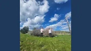 nuM1STY (feat. h4ze m1st)