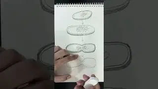 خطوات رسم عملية التكاثر اللاجنسي في البكتيريا (( الانشطار الثنائي )) 🦠 الاستاذ علي محمد