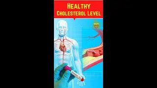 Recent Guidelines For Healthy Cholesterol Levels