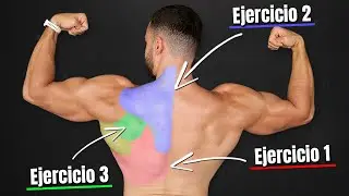 ¡Los ÚNICOS 3 Ejercicios que necesitas para tener una espalda ancha y gruesa¡