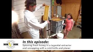 Removing fresh honey🍯 from the frame w/ a Tangential Extractor! (part 3 of Honey Extraction series)