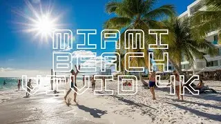 Miami Beach Drone