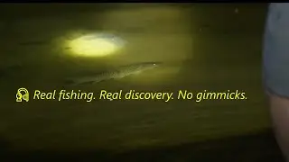 Fisherman Discovers Secret Underground Hole FULL of Fish!
