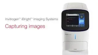 撮り直し不要！化学発光・蛍光撮影装置　Invitrogen&trade; iBright&trade; Imaging Systems：画像撮影