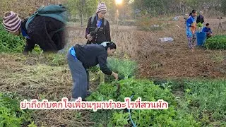 ย่าไม่อยู่ มาดูสวนผัก เกิดอะไรขึ้นทุกคน พูด แบบนี้#ป้าแต๋นชาเเนล 