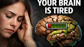 Stop wasting time: كيفاش تعفن الدماغ كيسرق حياتك