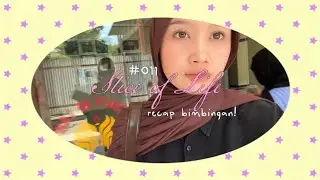 slice of life #011 : recap bimbingan tugas akhir