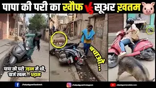 पापा की पारी का खौफ सूअर ख़तम  !! Papa ki V/Suar  Funny !! Viral Meme Video