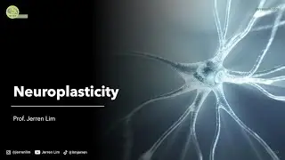 Lecture 3: Synaptic Plasticity